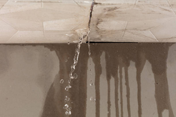 Professional Burst Pipe Cleanup technician working in Newport, MN